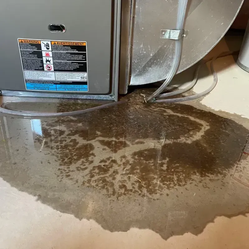 Appliance Leak Cleanup in Jefferson County, WA